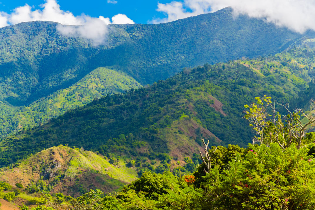 Blue Mountains in Jamaica